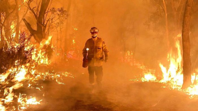 Kebakaran hutan terus terjadi di Australia dan ribuan warga telah merasakan dampaknya, termasuk di kota-kota besar lewat asapnya.