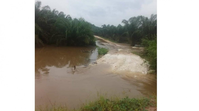 Banjir di sekitaran kebun sawit di salah satu daerah di Kalimantan Barat; sumber : koleksi pribadi