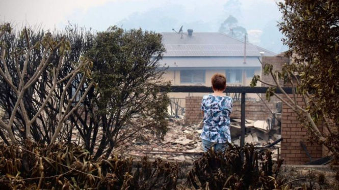 Gambar korban kebakaran semak di Australia seperti ini digunakan untuk penipuan penggalangan dana.