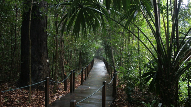 Rekreasi ke Singapore Botanic Gardens