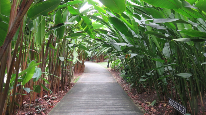 Rekreasi ke Singapore Botanic Gardens