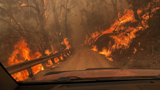 Kebakaran semak di Australia di awal tahun 2020 terjadi di beberapa negara bagian.