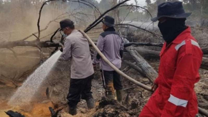 Pembakaran lahan masih terjadi di Riau.