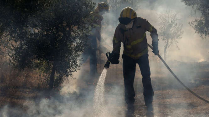 Pemadam kebakaran di Spanyol bertempur melawan bara api pada 2019 selama gelombang panas di Eropa. - Getty Images