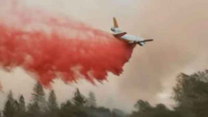 Pesawat water bomber canggih dikerahkan padamkan neraka Australia