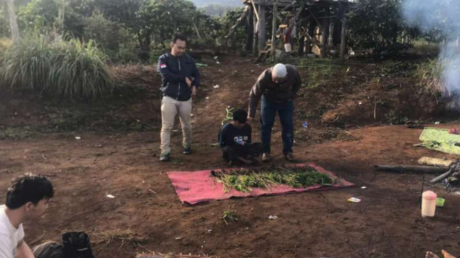 Polisi menangkap pengedar ganja sekaligus menemukan Sebuah ladang ganja seluas tiga hektare ditemukan di wilayah Bukit Padi Ampe, Kecamatan Dempo Selatan, Pagaralam, Sumatera Selatan, Jumat, 17 Januari 2020.