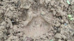 Photo Mini 1