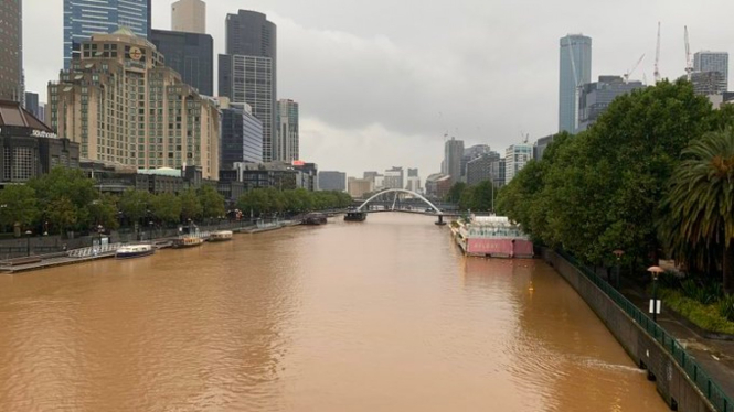 Tidak seperti biasanya, air sungai Yarra yang membelah kota Melbourne berwarna cokelat setelah hujan turun sejak Rabu malam (22/01).