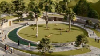 KLHK: Proyek Taman Nasional Komodo Tidak Dikerjakan Pihak Swasta