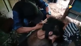 Pilu, 27 Tahun Tak Keramas, Rambut Nenek di Semarang Jadi Sarang Tikus