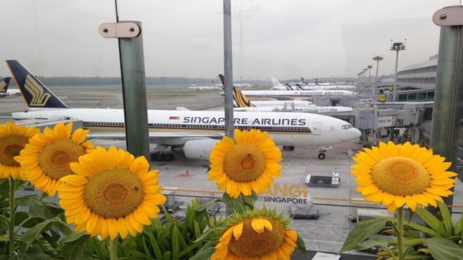 Lakukan Hal-Hal Ini saat Transit di Bandara Changi