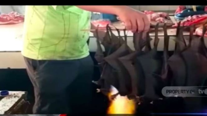Pedagang daging hewan liar di Pasar Beriman alias Pasar Ekstrem memajang daging kelelawar.