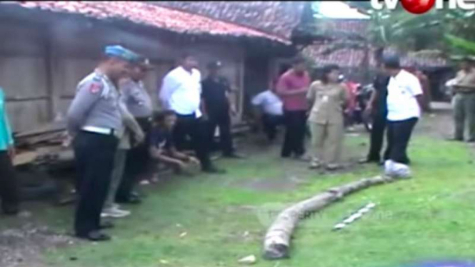 Seorang warga Desa Bonagung, Kecamatan Tanon, Kabupaten Sragen, Jawa Tengah, gempar dengan penemuan sebuah fosil gading gajah raksasa di sebuah tanah tegalan.