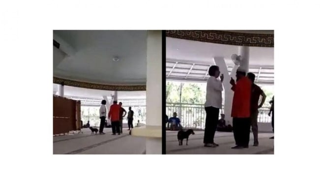 Sambil membawa anjing peliharaannya masuk ke dalam masjid, SM diduga bertanya mengapa suaminya dinikahkan di dalam masjid, kata polisi. - TRIBUNNEWS/KOLASE