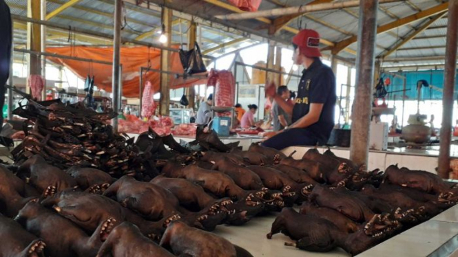 Kelelawar atau Paniki yang dijual di Pasar Tomohon.