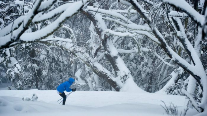 Berski di kawasan Mount Buller merupakan salah satu atraksi menarik bagi turis Indonesia yang berkunjung ke Australia.