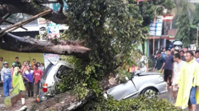 Pohon beringin tumbang dan timpa mobil di Bantul Yogyakarta