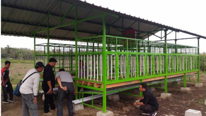 Kandang Ayam Minim Tempat Yuk Ngingu Bareng agar Warga Purworejo Lebih Baik