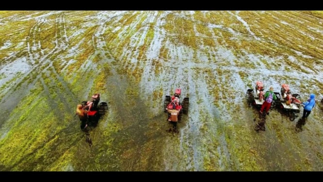 Program Kementan optimalisasi Lahan Rawa di Banjar