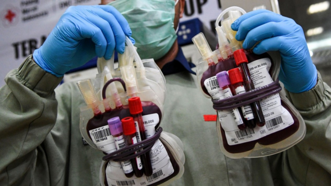 PMI Kekurangan Stok Darah Ditengah Pandemi Virus Corona