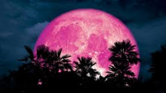 PInk Moon.