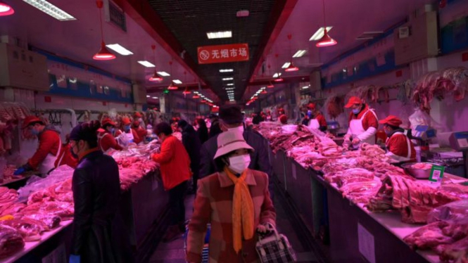 Dilarang Makan Daging Kucing  Anjing di Shenzhen China  