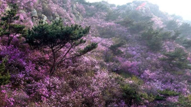 Gunung Dazhu