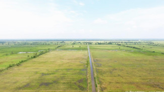 Risiko Gagal Panen, Kementan Tekankan Pentingnya Asuransi Pertanian