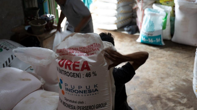 Pupuk bersubsidi Kementan.