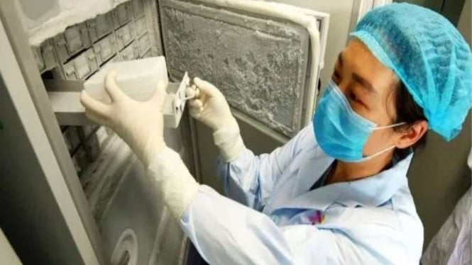 Penyimpanan freezer spesimen di lab Wuhan dilaporkan rusak