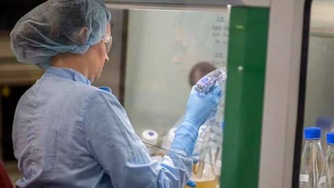 Ilmuwan di Universitas Queensland Australia tengah kembangkan vaksin corona. (Foto ilustrasi)