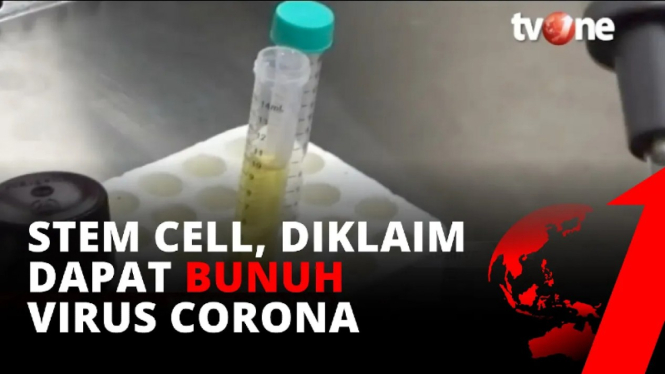 Stem Cell diklaim dapat bunuh virus corona