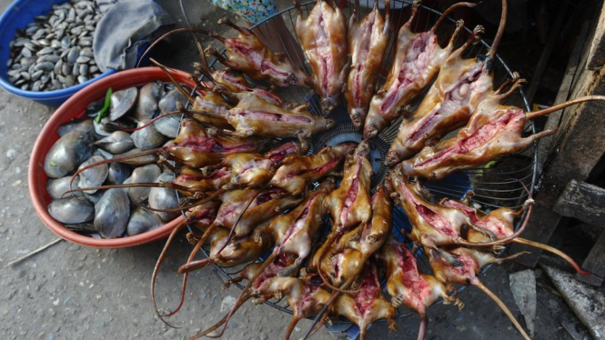 Tikus yang dijual di satu pasar hewan liar di Vietnam.-Getty Images