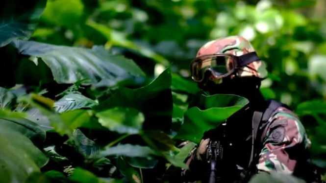 VIVA Militer: Prajurit TNI AD di hutan.