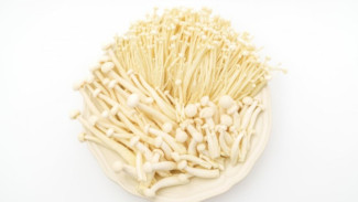 Diduga Picu Wabah Listeria, Ini 5 Fakta Jamur Enoki