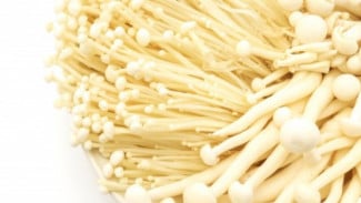 Wabah Listeria di Amerika Serikat, CDC Imbau Tak Asal Konsumsi Jamur Enoki
