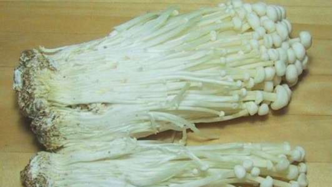 Jamur enoki