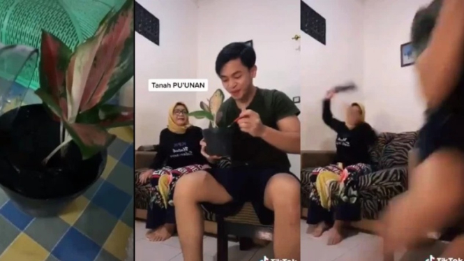 Video TikTok anak coba ngeprank ibunya makan tanah 