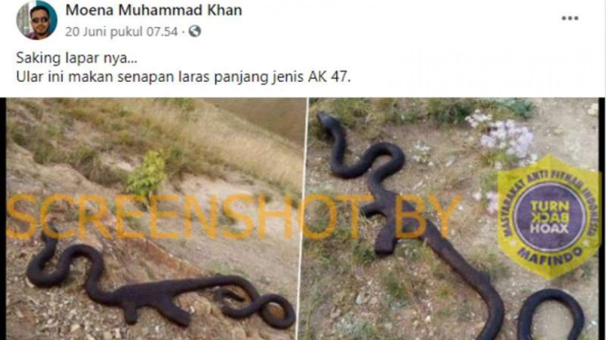 Beredar foto ular makan senapan AK 47
