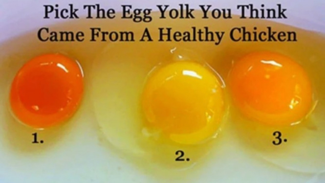 Perbandingan telur yang sehat dan tidak.