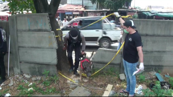 Polisi mengerahkan anjing pelacak di lokasi penemuan mayat jurnalis Metro TV, Yodi Prabowo, di Kecamatan Pesanggrahan, Jakarta Selatan, pada Sabtu, 10 Juli 2020.