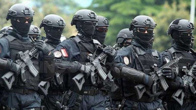 VIVA Militer: Pasukan Detasemen Jalamangkara (Denjaka) TNI Angkatan Laut (AL)
