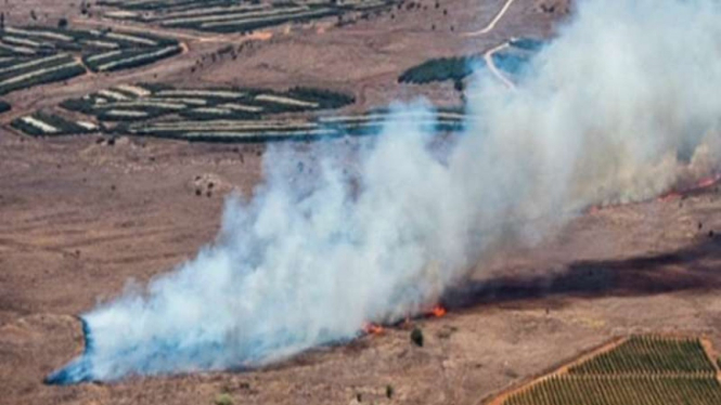 VIVA Militer : Pesawat militer Turki di tembak jatuh 