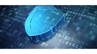 Darurat! Pembentukan Lembaga Pengawas Data Pribadi Tak Boleh Molor