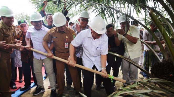 Panen perdana KUD Mulus Rahayu Tahun 2016 (Dok Asian Agri).