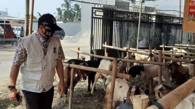 Pemantauan hewan qurban di Kabupaten Tangerang.