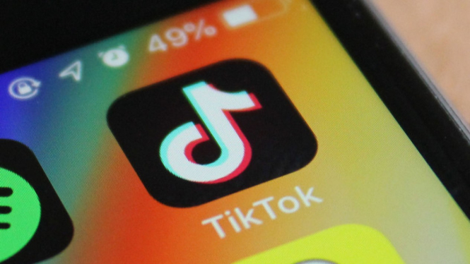 Cara Hapus Akun TikTok, Bagi yang Takut Datanya Bocor. (FOTO: TechCrunch)