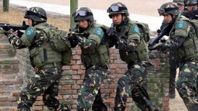 VIVA Militer: Pasukan Tentara Pembebasan Rakyat China (PLA)