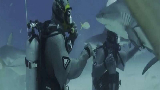 Mike Tyson berhadapan dengan hiu