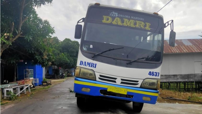 Armada Bus Damri Rute Palangkaraya-Bahaur